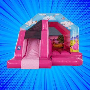 Princess Bounce & Slide