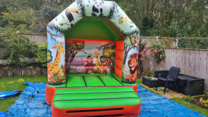 10ft x 10ft Jungle themed