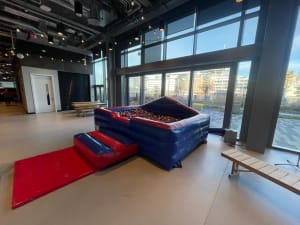 Adult Ball Pit