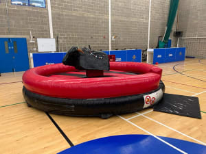 Children's Rodeo Bull Hire (Buffalo Billy)