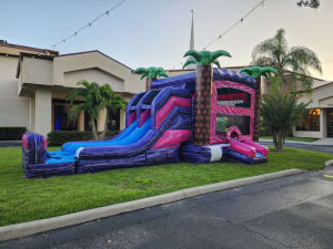 Purple Palms XL Dual Lane Combo