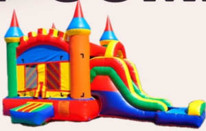 Mini Castle Combo with detachable pool (wet/dry)