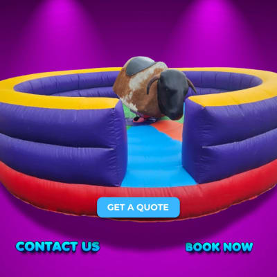 Rodeo Bull Hire
