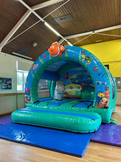 Curved Ocean Jumper, a bouncy castle for hire from Crockerz Castles