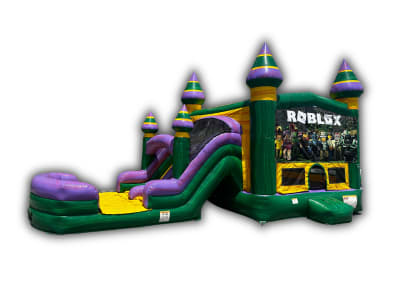Themed Bouncer With Slide Rentals
