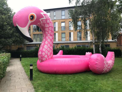 19x17 Flamingo ballpit, a soft play set for hire from TFG Bouncy Castles