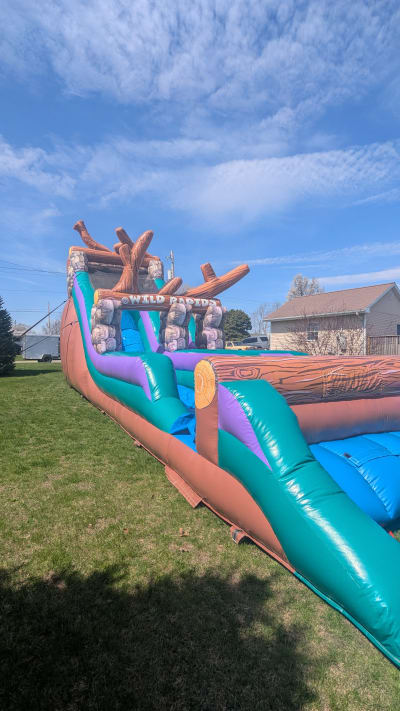 Inflatable Dry Slide