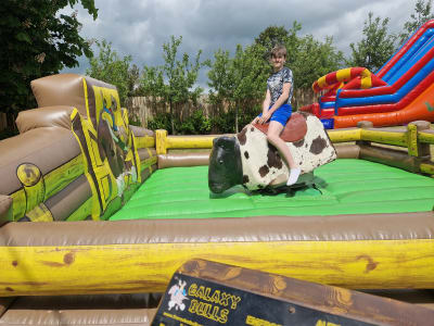 Rodeo Bull Hire