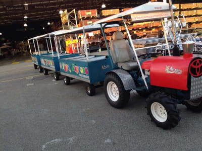 Lollypop Express Tractor Train