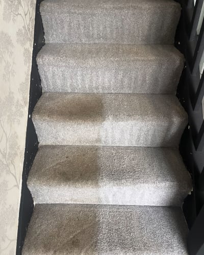 Carpet Cleaning