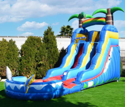 Slides Wet/Dry