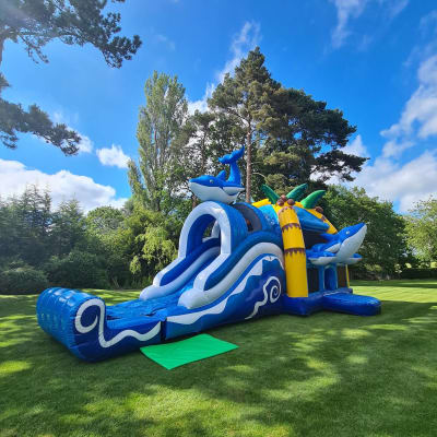 Dolphin Multiplay Bouncer with Slide, a bounce and slide combo for hire from Crockerz Castles