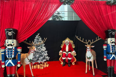 Christmas Entertainment Hire 