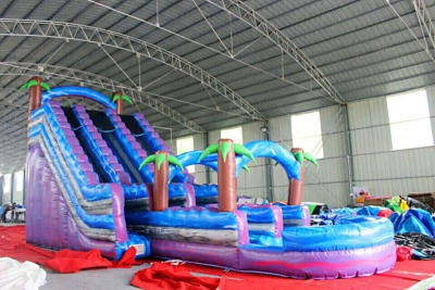 Water deals bouncy castle