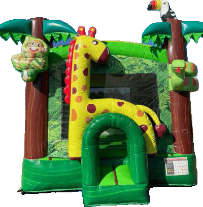 Dry Bounce Houses
