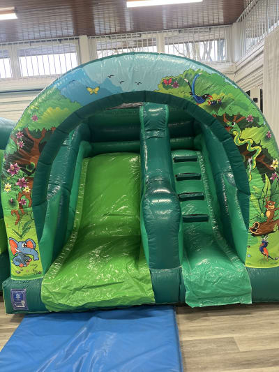 Jungle mini. Slide, a inflatable slide for hire from Croydon Bouncy Castles