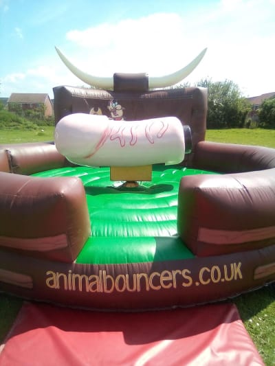 Rodeo Willy, a inflatable game for hire from Animal Bouncers