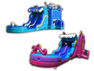 Bouncer With Slide Rentals
