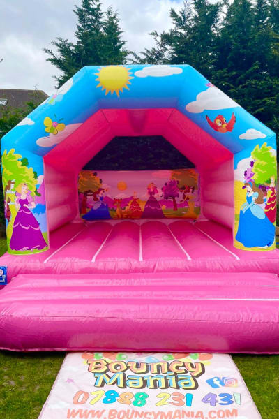 Princess Castle, a bouncy castle for hire from Bouncy Mania