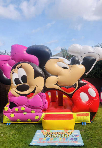 Disney Dream Castle, a bouncy castle for hire from Bouncy Mania