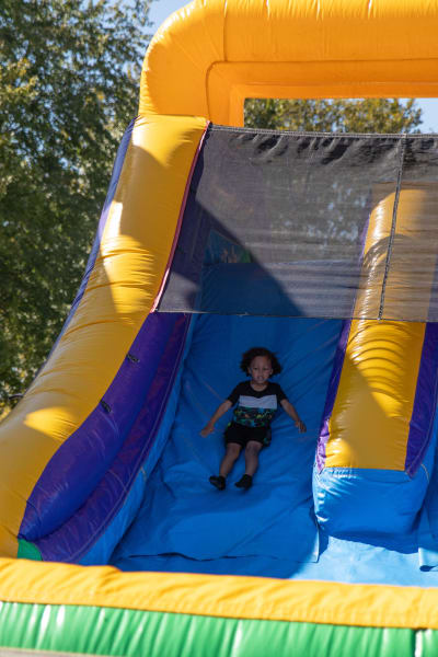 Slides