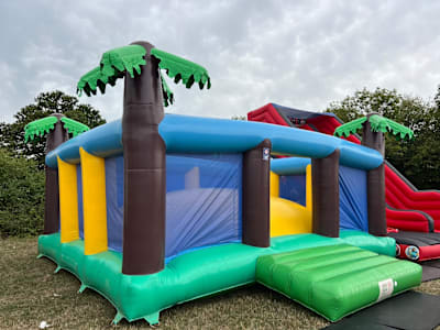 Bounce Pillow, a bouncy castle for hire from Animal Bouncers