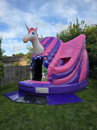 17ft x 15ft 3D Unicorn Dome With Slide, a disco dome for hire from MLM Bouncy Castles