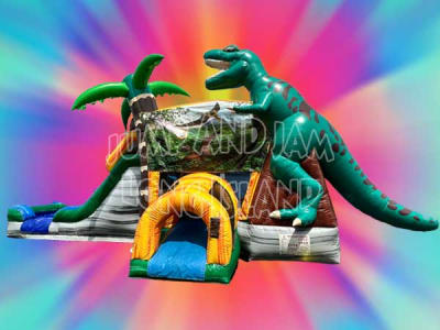 Slides and Waterslides