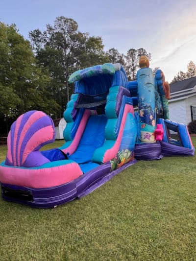 Dry Slides