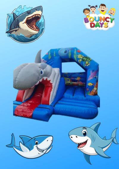 Bouncy Castle and slide