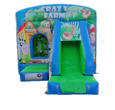 Bouncy Castle & Combi Slide