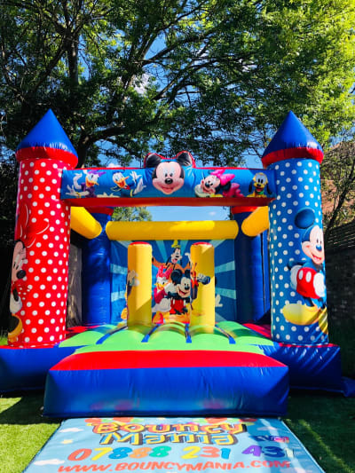 Low Height Disney Castle, a bouncy castle for hire from Bouncy Mania