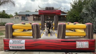 Mechanical Bulls
