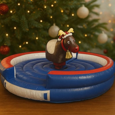CHRISTMAS ENTERTAINMENT