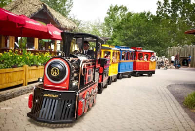 Larry The Locomotive