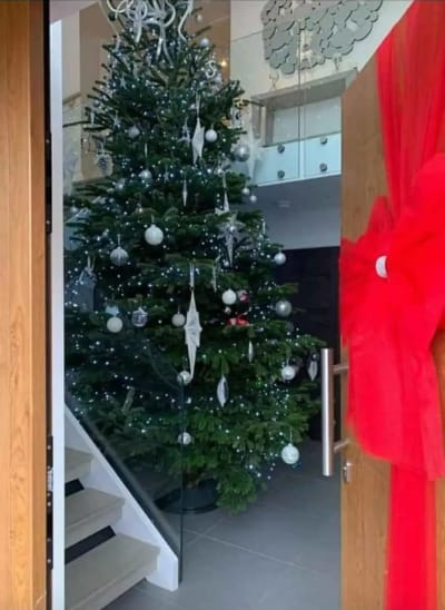 Premium Nordmann Fir 13-14ft