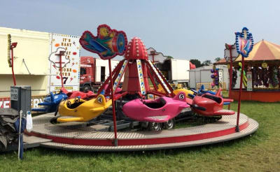 Juvenile Flying Planes hire