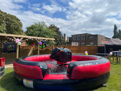 Rodeo Bull hire