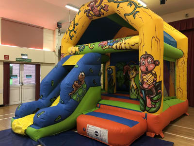 Jungle Theme Combo Bouncy Castle