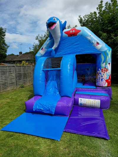 12ft x 13ft 3D Dolphin Bouncy Castle With Slide, a bounce and slide combo for hire from MLM Bouncy Castles