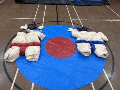 Sumo Wrestling Suits