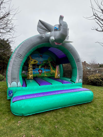 Curved Jungle Jumper, a bouncy castle for hire from Crockerz Castles