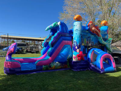 WET INFLATABLES