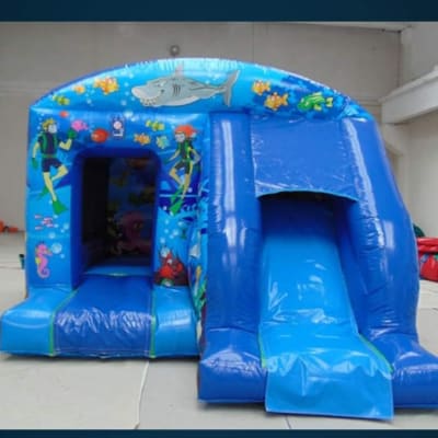 Sea World Combo, a bouncy castle for hire from Bounce About Sussex