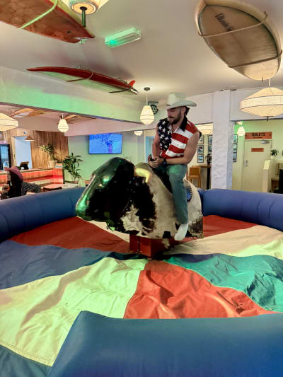 Rodeo Bull Hire