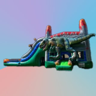 Bounce House & Slide Combos