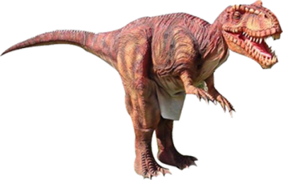 Bounce Houses Existing