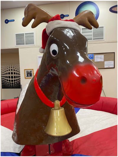 Rodeo Reindeer Hire