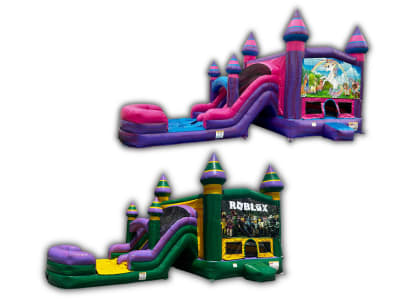 Themed Bouncer With Slide Rentals