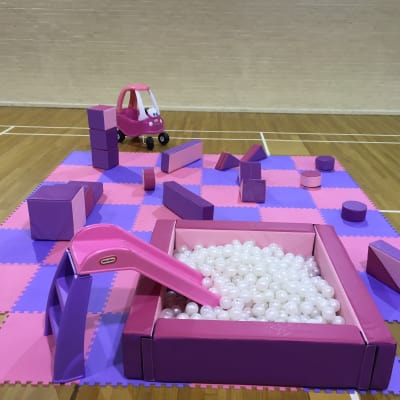 Pink & Purple Soft Play Set, a soft play set for hire from Playdays Parties